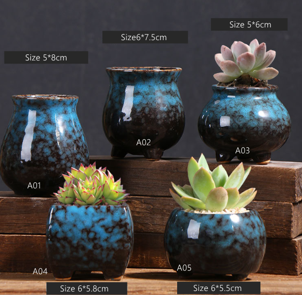 Indoor Plant Pottery