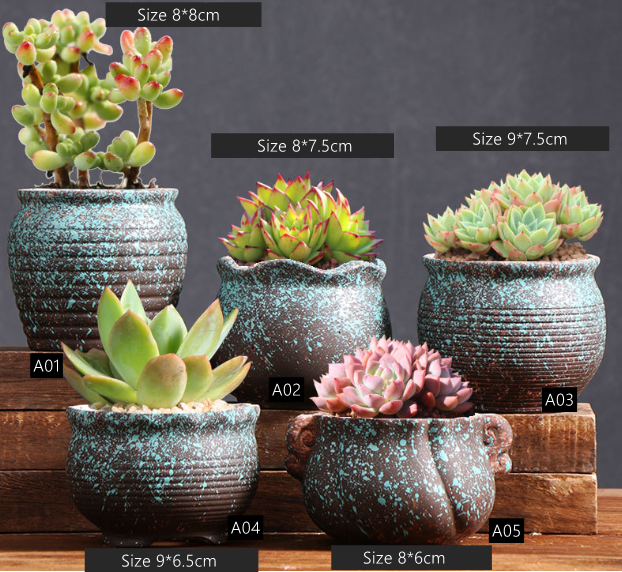 glazed terracotta pots