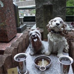 Pet memorial stone